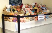 Nurserie-photo
